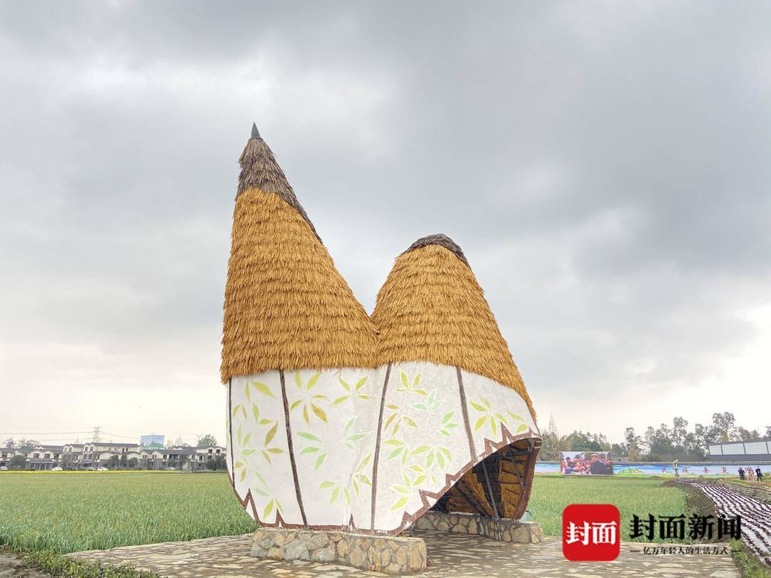 历时两个月 成都第二届天府大地艺术季来了_乡村