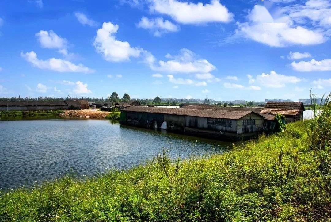 广州东进拼图补齐!下一风口,当看莲花湾!