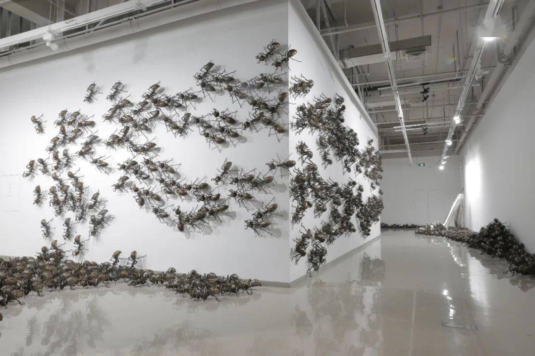 陈志光简介(陈志光蚂蚁作品价格)