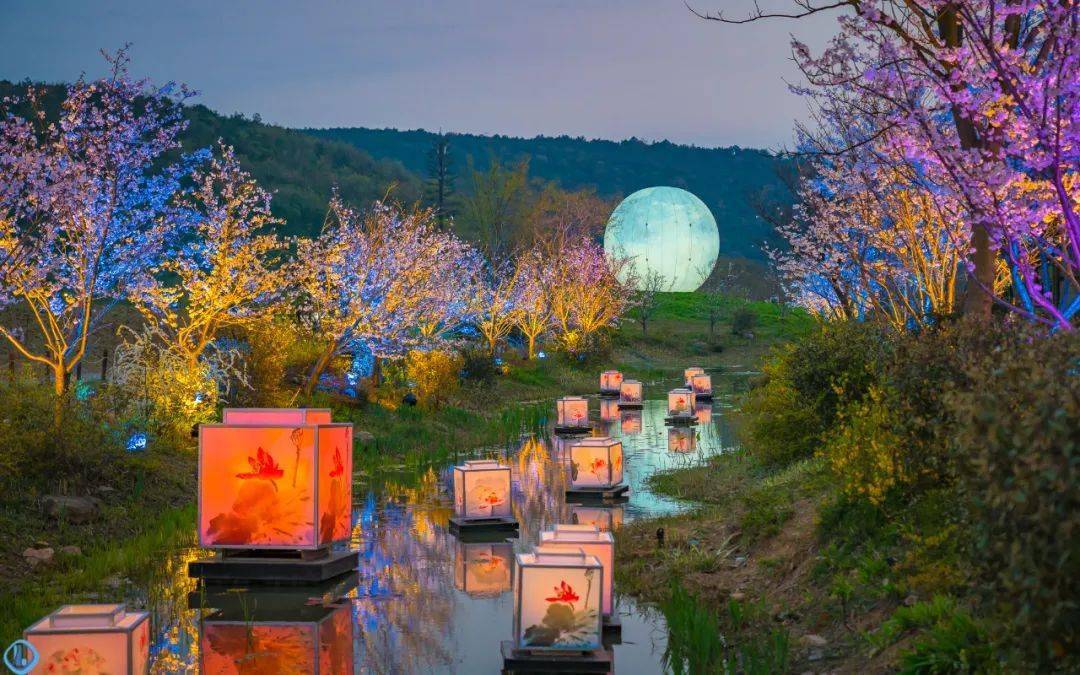 趁着夜色赏樱更是一绝,拈花湾在夜晚还特别设有夜樱水灯会,移步换景