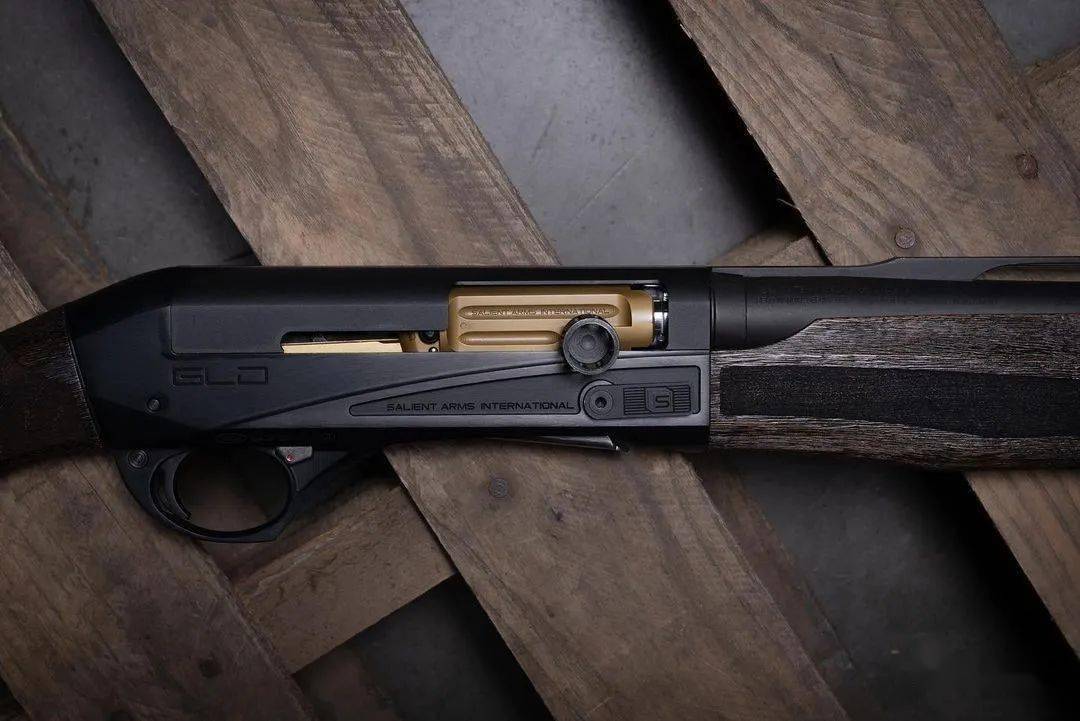 粉丝求图sai武器公司改装枪及成品枪图集