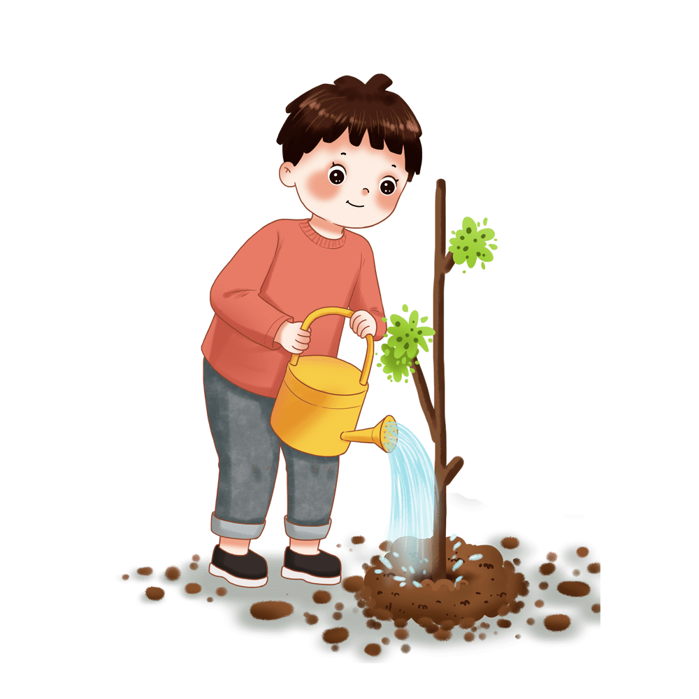 ③ 第三阶段:细心呵护,仔细观察,耐心等待植物生长.1.