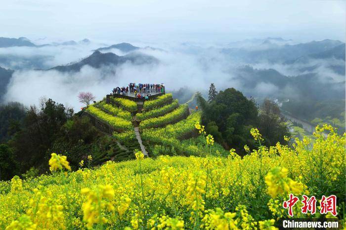 安徽歙县以“花”为媒打造乡村旅游特色产业