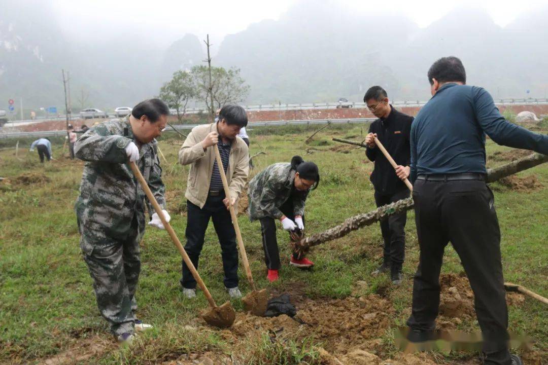 當天上午,在逐卜鄉板要村隴沙屯路口植樹活動現場呈現一派熱火朝天的