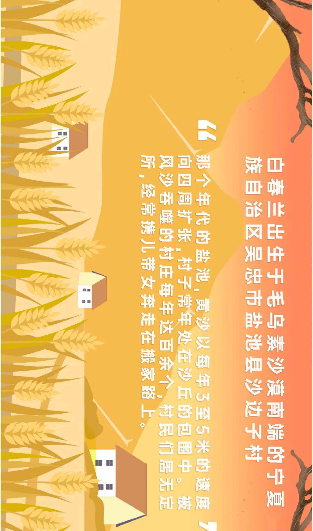 木林的人口_黄花风铃木林图片(2)