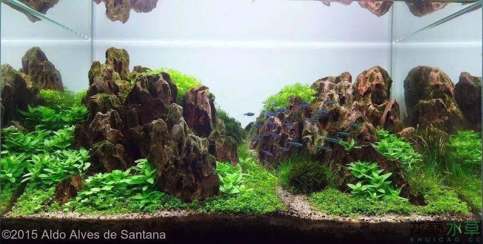 56个经典松皮石造景模板