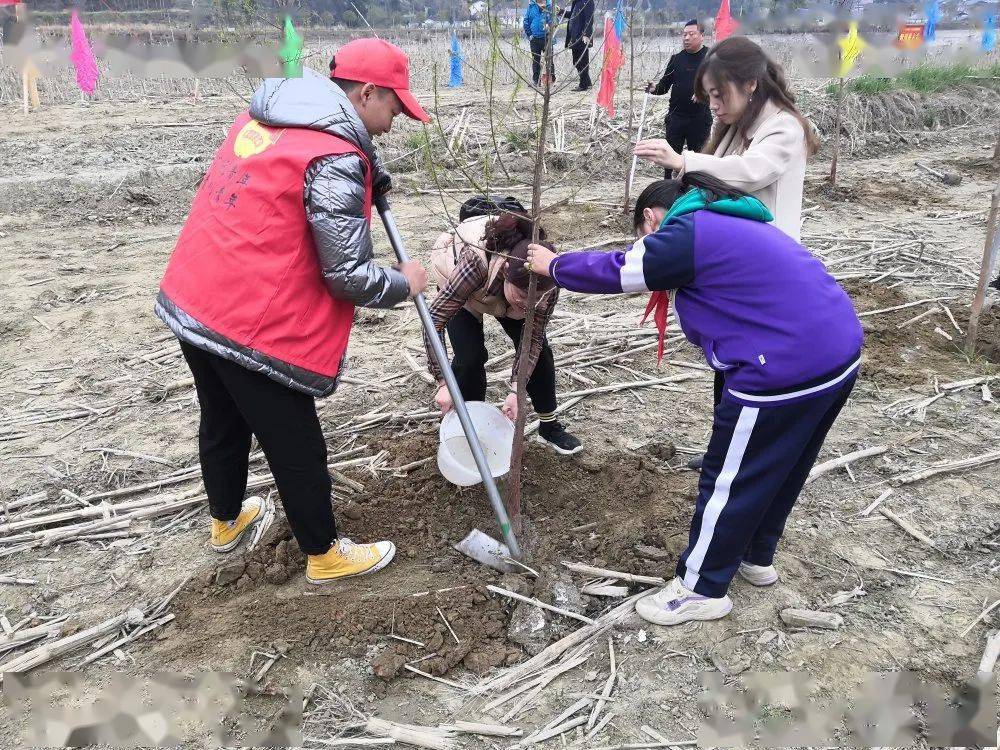 水定镇人口民族_人口老龄化图片(2)