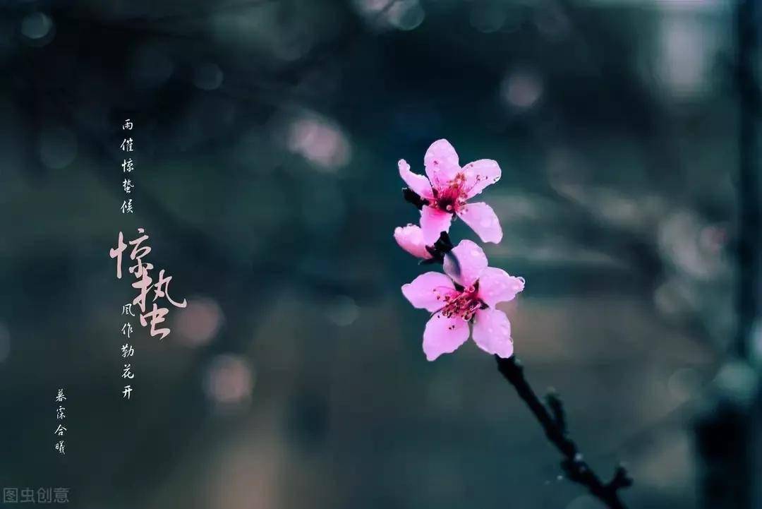 476b53a282da4b48baecf517a5081b30.jpeg