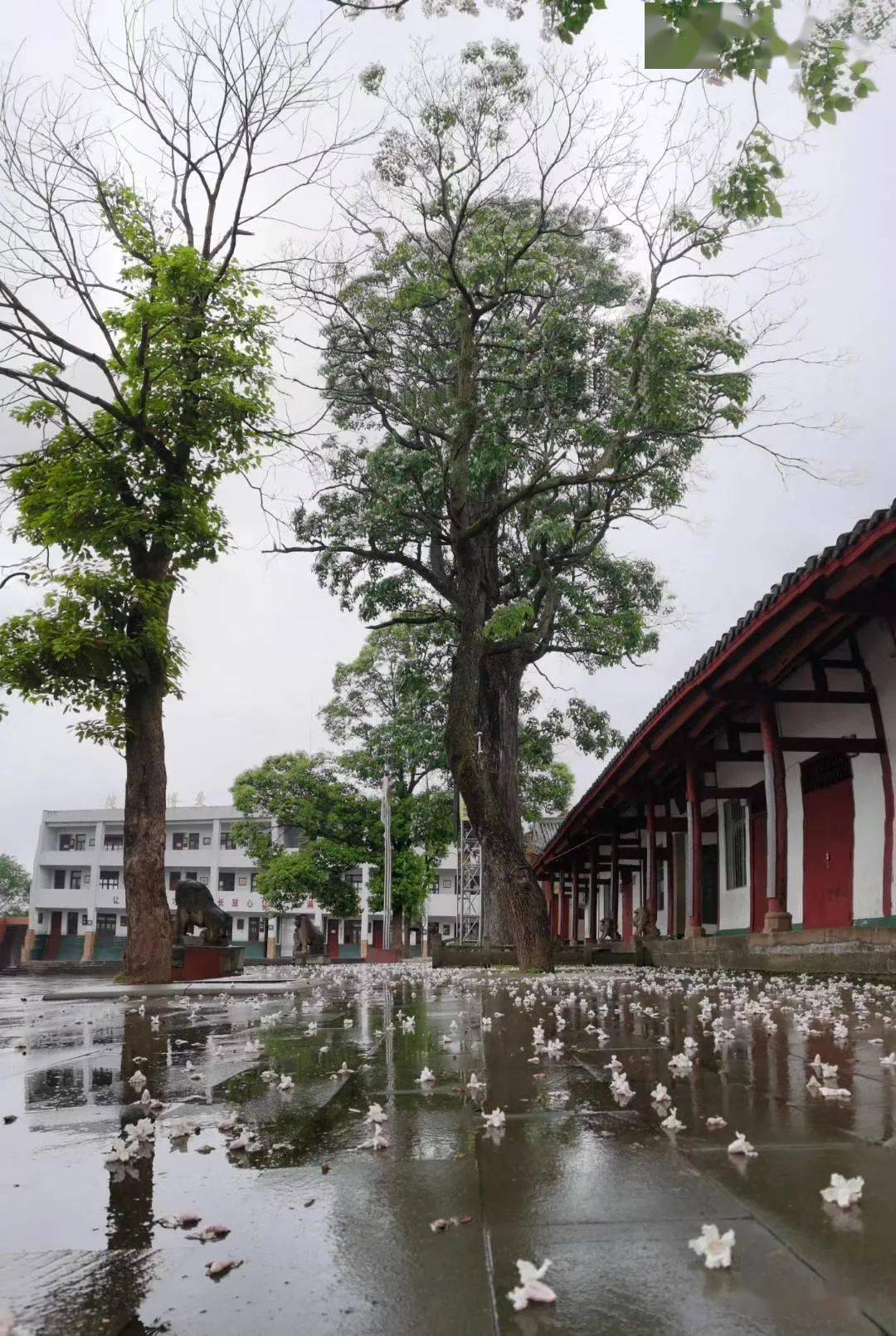 云上南部带你逛西水你想知道的都在这里