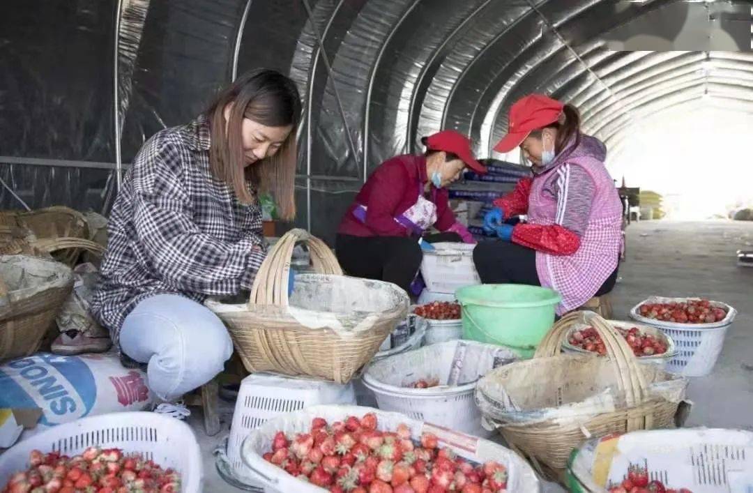 一年之计在于春,巢湖市夏阁镇种粮大户吴玉根,早早地把无人机送到维修
