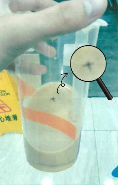 在深圳湾眺望曲谱