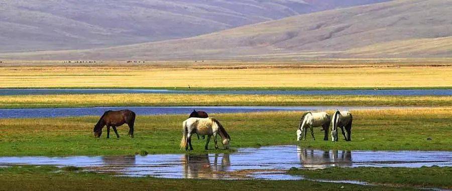 视频一分钟带你云赏三江之源