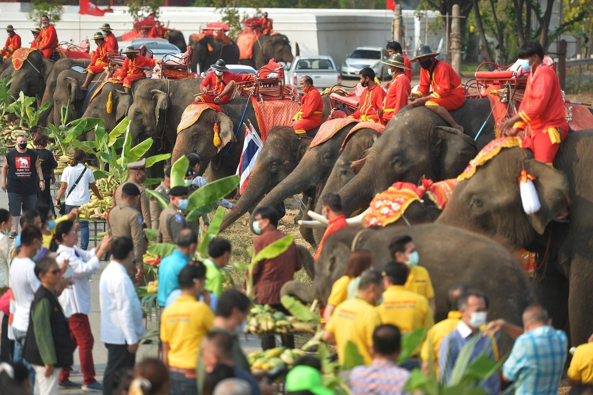泰国庆祝大象日 盼国际游客