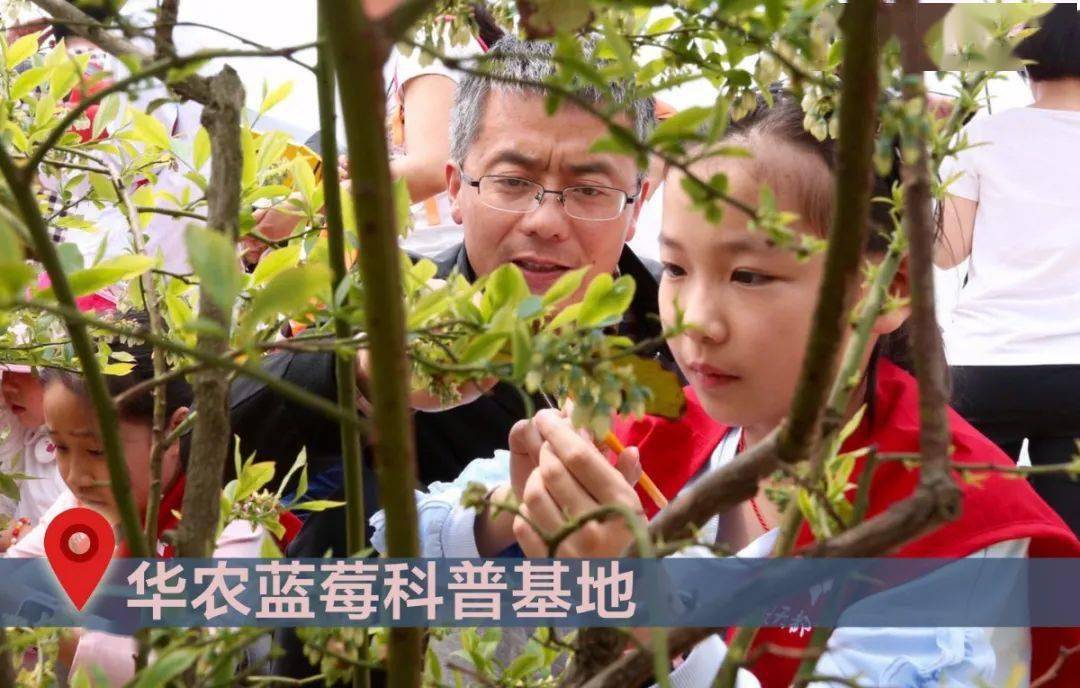 什么是五花八门的意思 c637f5db0abf43e4a9c7b38de135bd60.jpeg