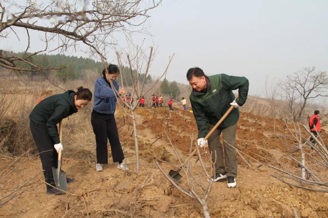 我为家乡增绿植携手共建青年林2021年淄博市青少年植树活动举行