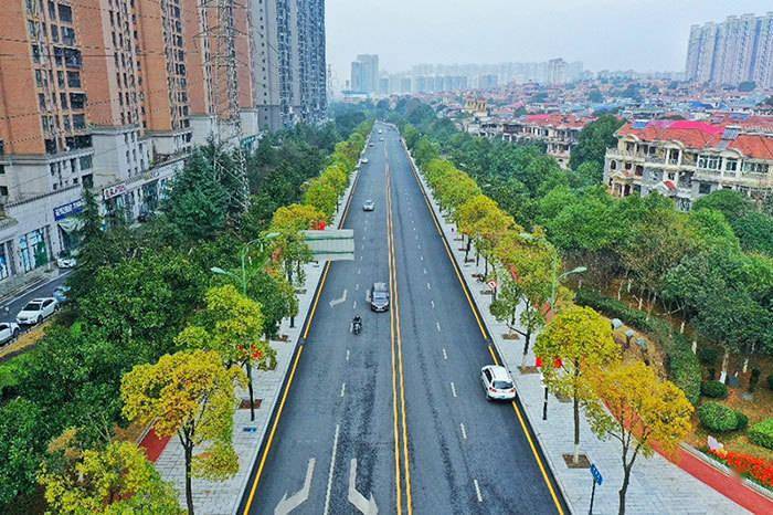 "步步精心"绣出湘龙美_街道