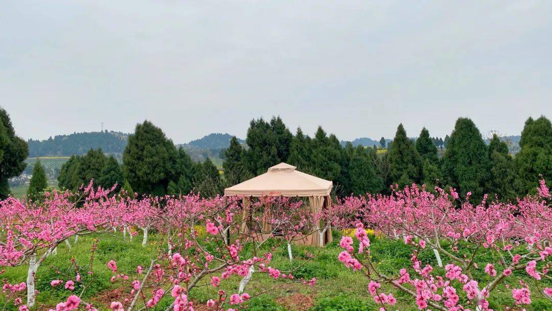 大英绿山微湖图片