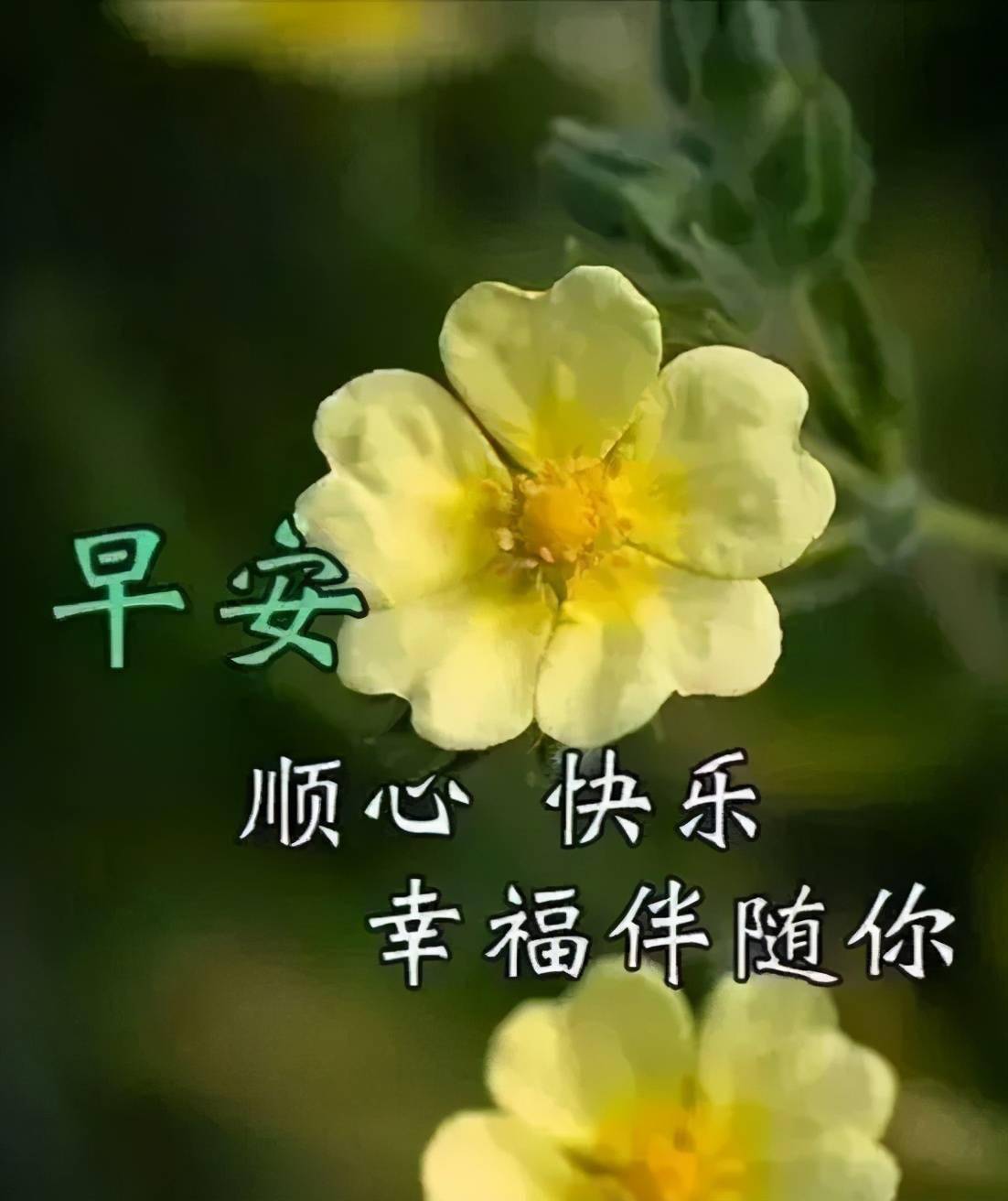 db530879e6744ee58a01b3ecdd51caf8.jpeg