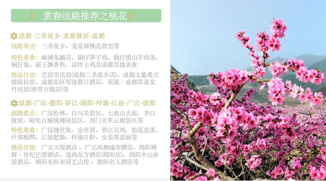 跟着这份攻略走进春天里 四川最新发布100个赏花踏青点位