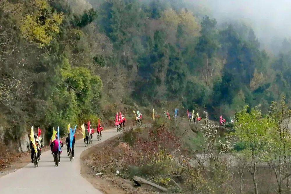 魅力春天·骑游苍溪|骑行赏梨花,畅游"香雪海"