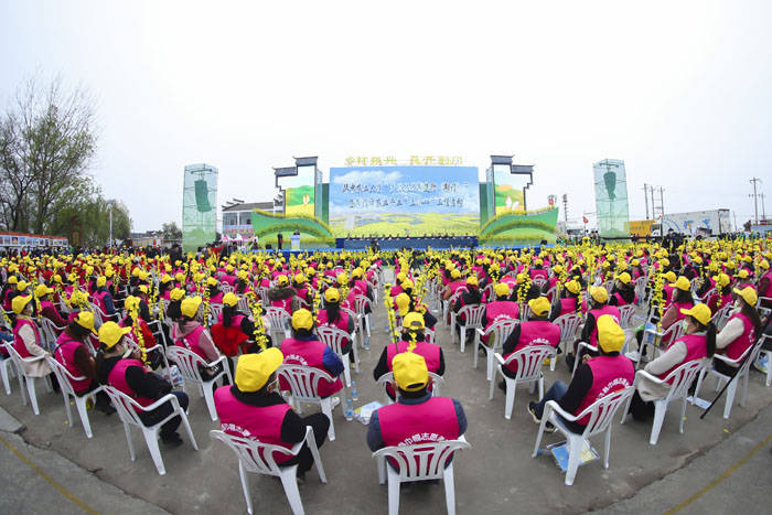 2021年湖北省油菜花节在荆门沙洋开幕