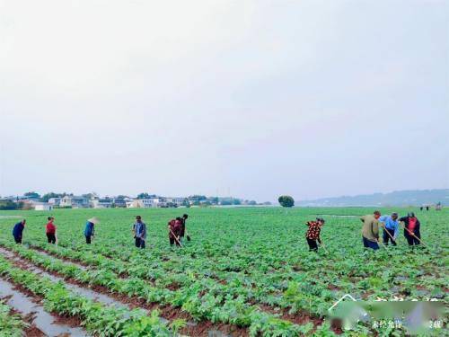 叙州区蕨溪镇gdp_叙州区蕨溪镇