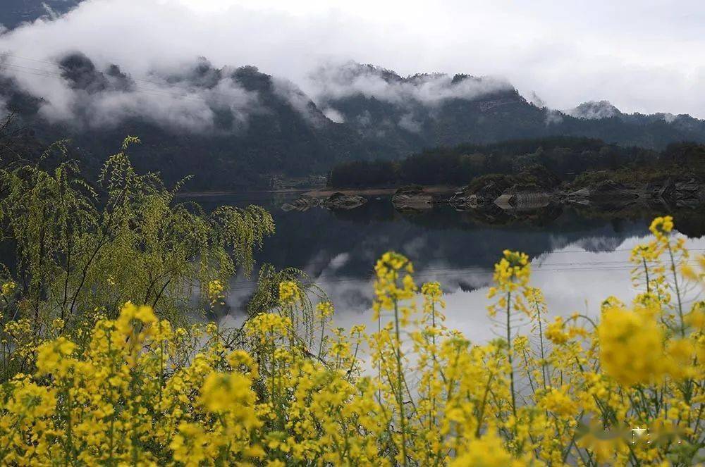 美圖| 重慶黔江油菜花掩映小南海 湖光山色美如畫_風景區