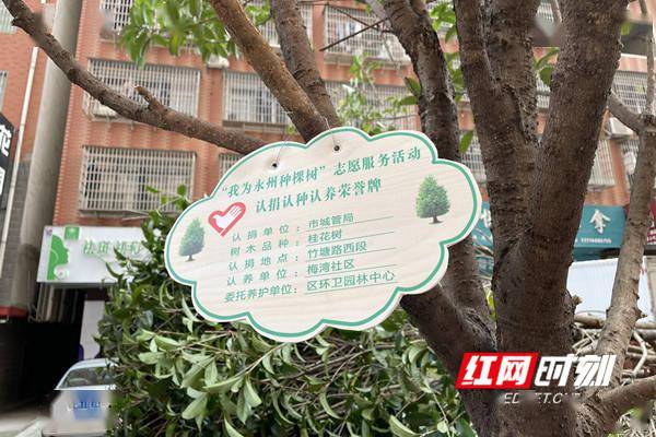 此次种植的桂花树,由梅湾社区的4个联点共建单位市城管执法局,市应急