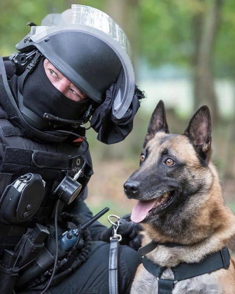 【法国raid图集】黑衣黑甲黑盔黑盾 绝对够酷