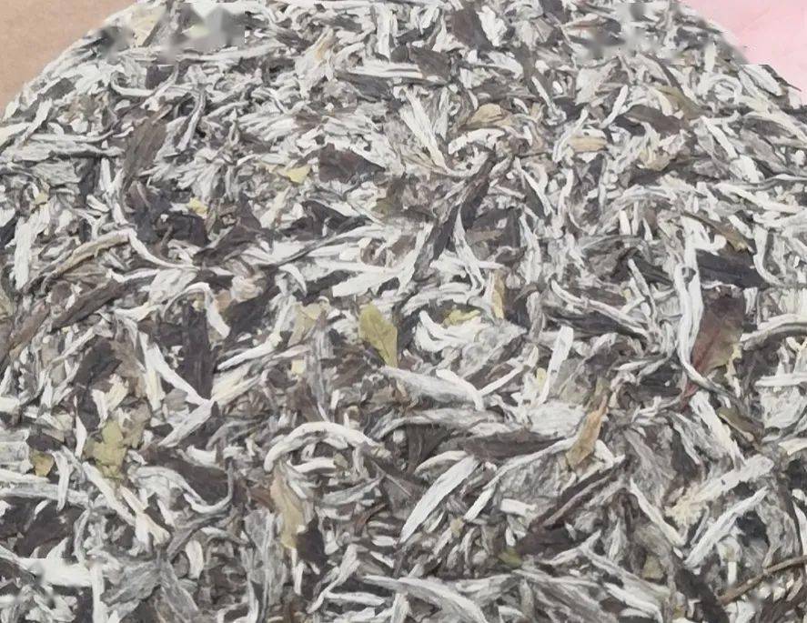 福安茶城原来这就是市面上流行的老白茶