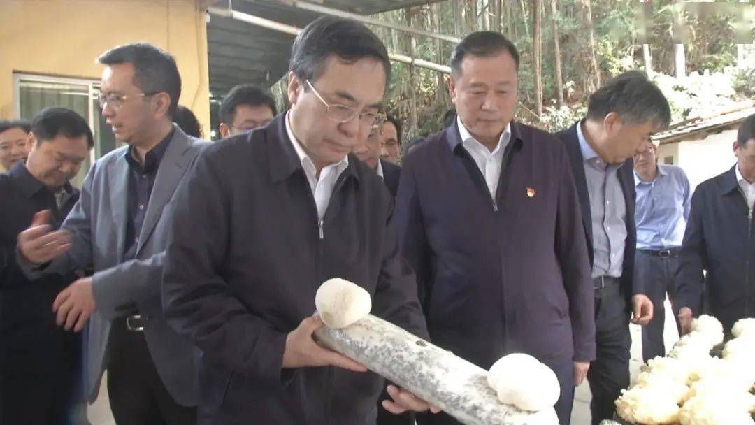 中国邮政集团领导来古调研