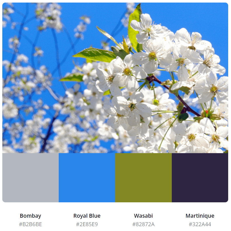 50张春日配色模板大放送与你共度浪漫时光