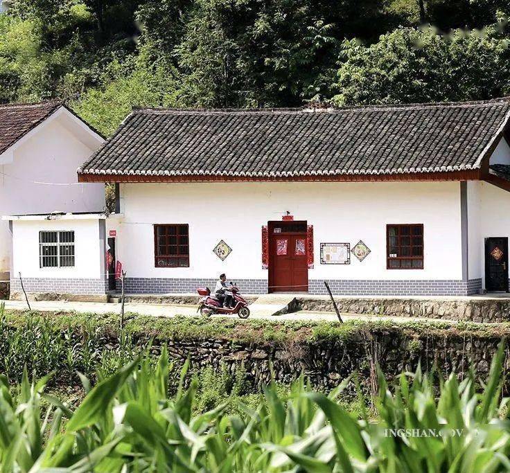 金川镇乡村振兴从焕新颜开始