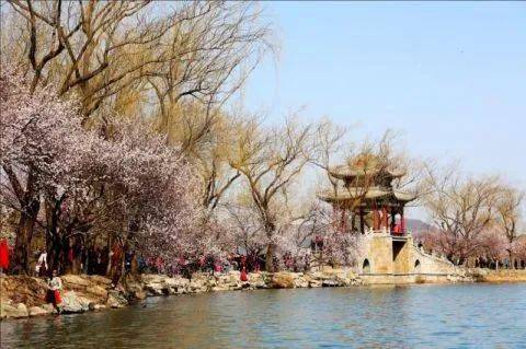 北京市属公园春花季本周开幕 最全赏花攻略请收好！