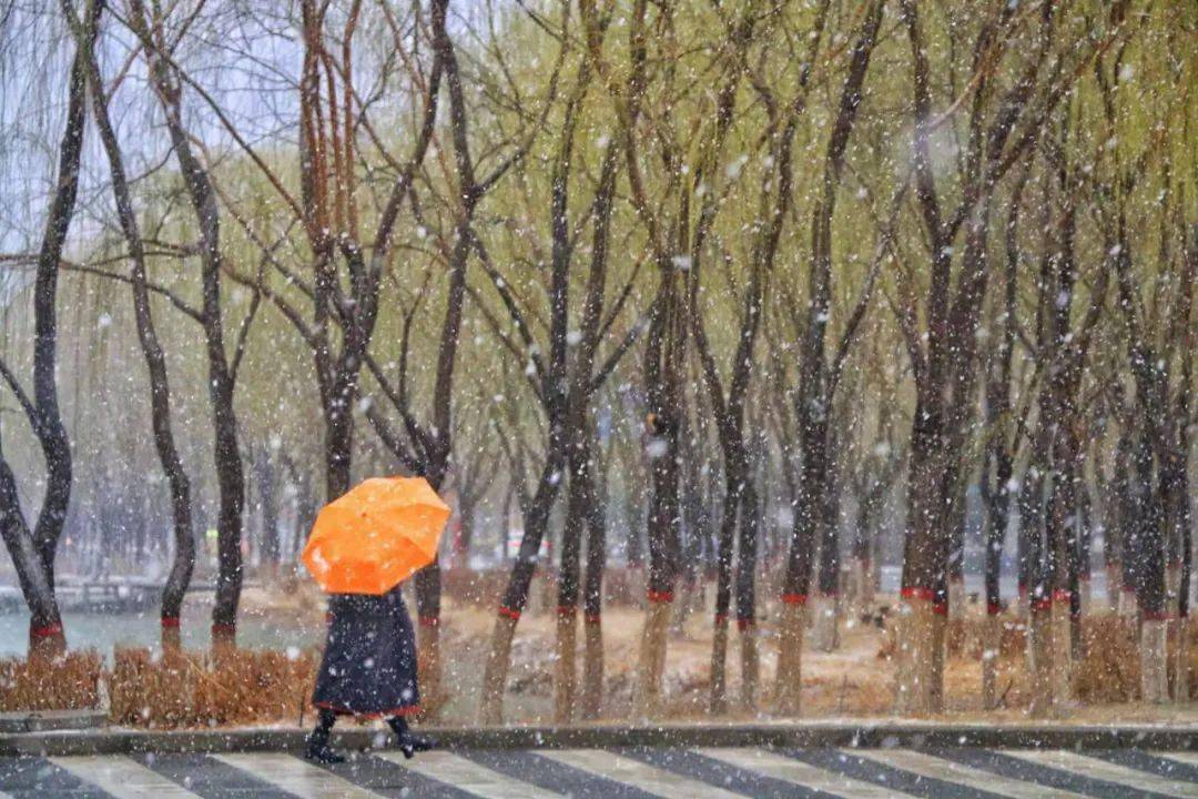 广东雨夹雪图片