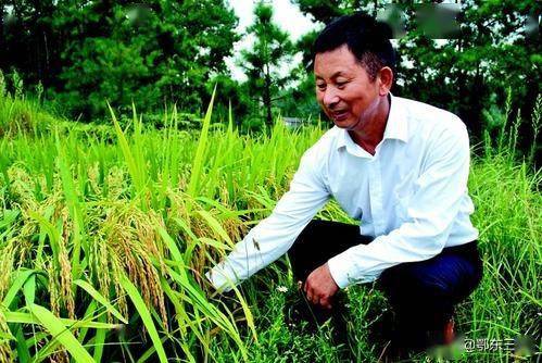 農村的男人一生什麼最為重要究竟追求什麼