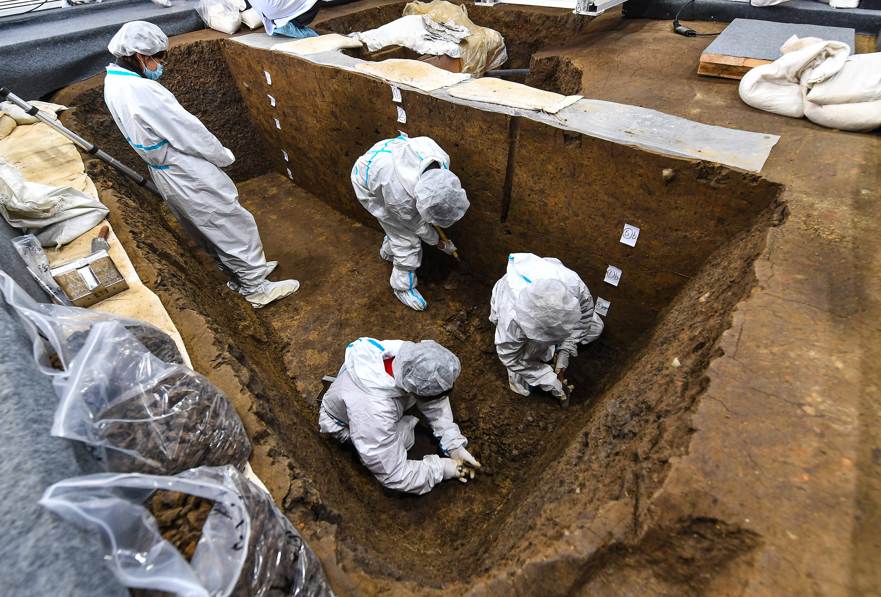 三星堆遗址再惊天下现已出土重要文物500余件