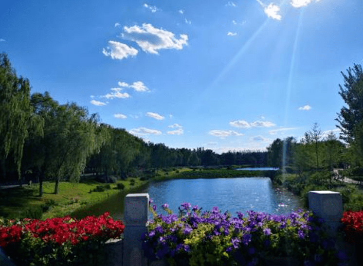 而在面積最大的東郊森林公園裡,不但有