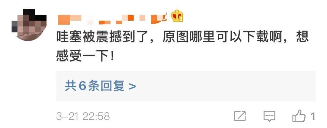 郁金香|这张17亿像素的绝美图，网友们争着要下载地址