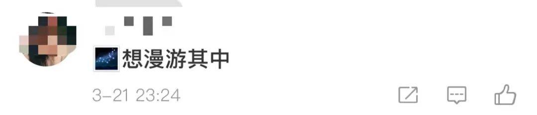 郁金香|这张17亿像素的绝美图，网友们争着要下载地址