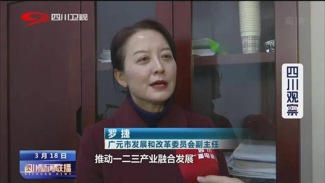 广元市发展改革委副主任罗捷告诉记者,下一步,围绕我市农业"7 3"主导