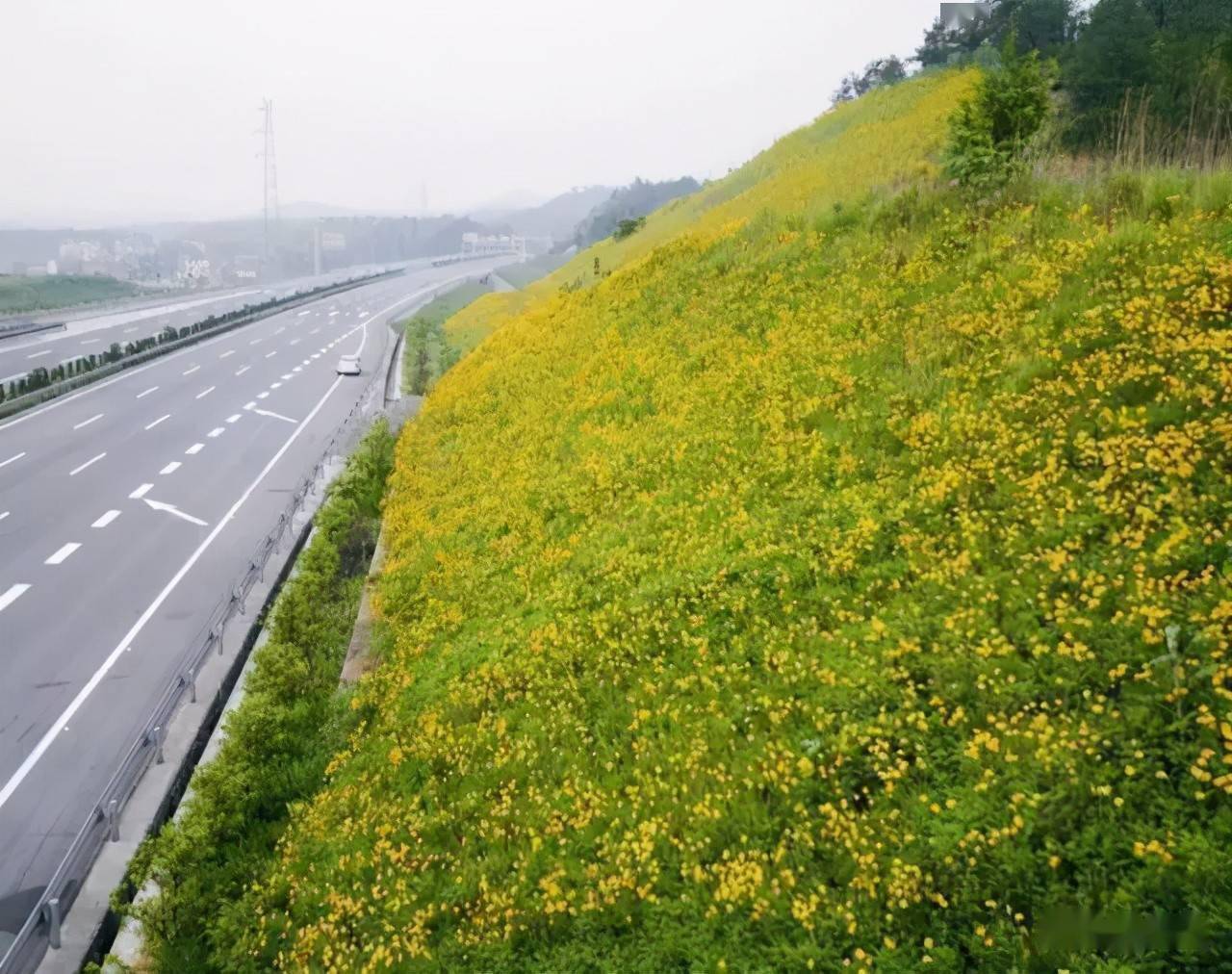 骨架护坡绿化图片