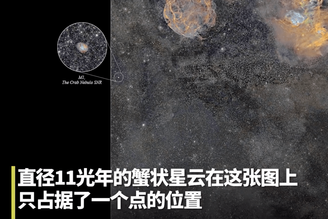 郁金香|这张17亿像素的绝美图，网友们争着要下载地址