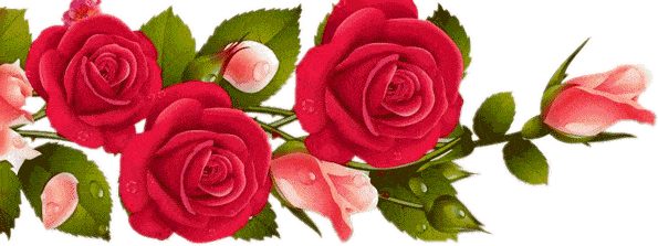 595_223gif 动态图 动图