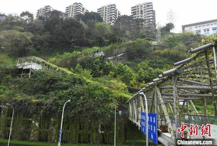 重庆：崖壁步道装上电动扶梯 市民上下山仅需十余分钟