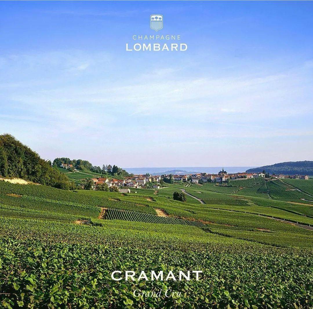 lombard 还打算在未来几年发布一款以黑皮诺主导的 a07 单一村香槟