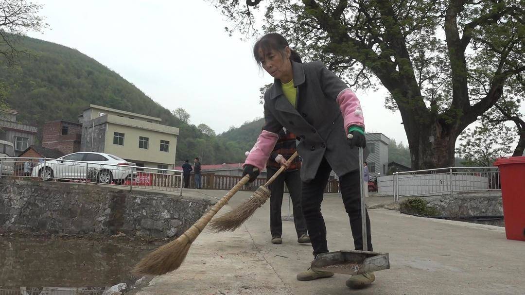 江永松柏老三图片图片