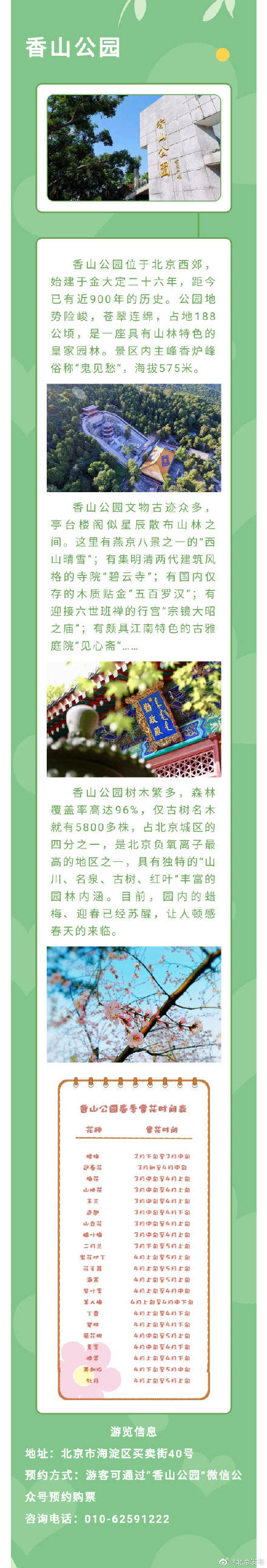 北京植物园山桃花即将进入最佳观赏期，还有这些花千万别错过！