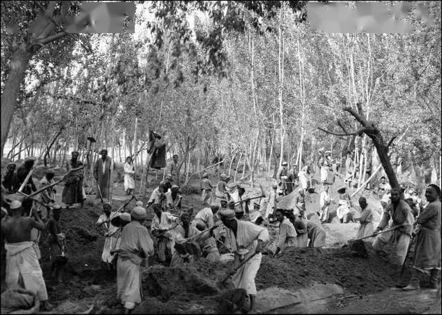 珍贵老照片:20世纪的新疆莎车_历史