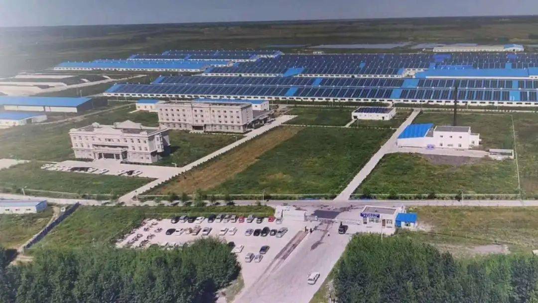 2020年大庆肇州县gdp_肇州县